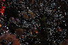 DSC_5994_thumb.png
