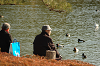 DSC_0050_thumb.png