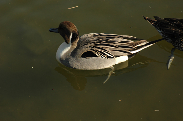 DSC_0122.JPG
