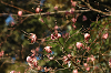 DSC_0202_thumb.png