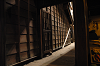 DSC_0265_thumb.png