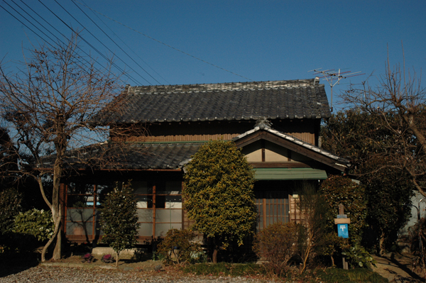 DSC_6311.JPG