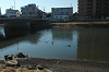 DSC_6318_thumb.png