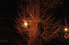 DSC_6022_thumb.png