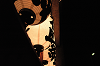 DSC_6029_thumb.png
