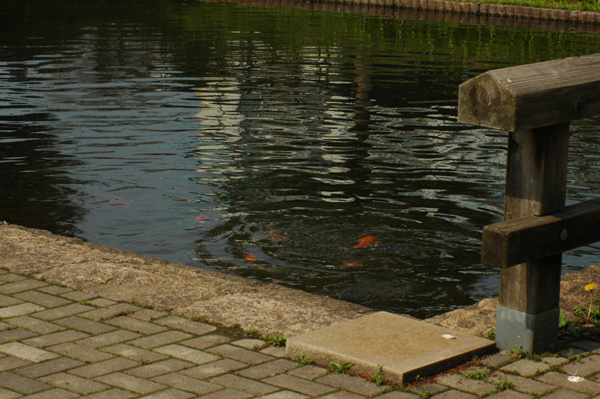 DSC_2722.JPG