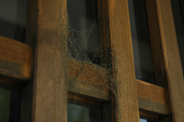 DSC_2749.JPG