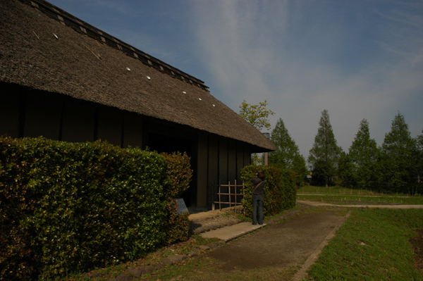 DSC_2777.JPG