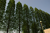 DSC_2820_thumb.png