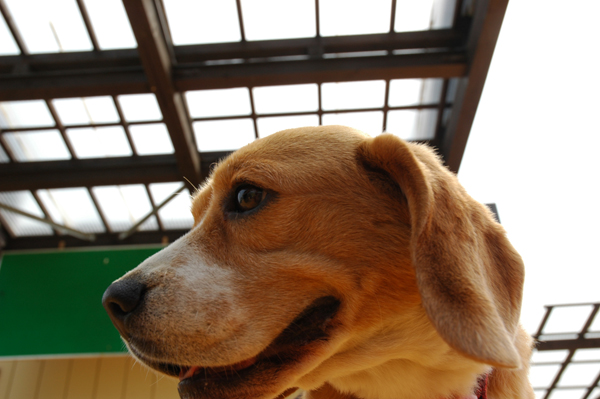 DSC_2840.JPG