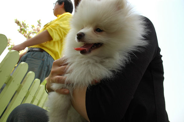 DSC_2855.JPG