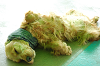 DSC_2888_thumb.png