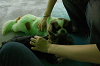 DSC_2893_thumb.png