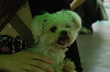 DSC_2908_thumb.png